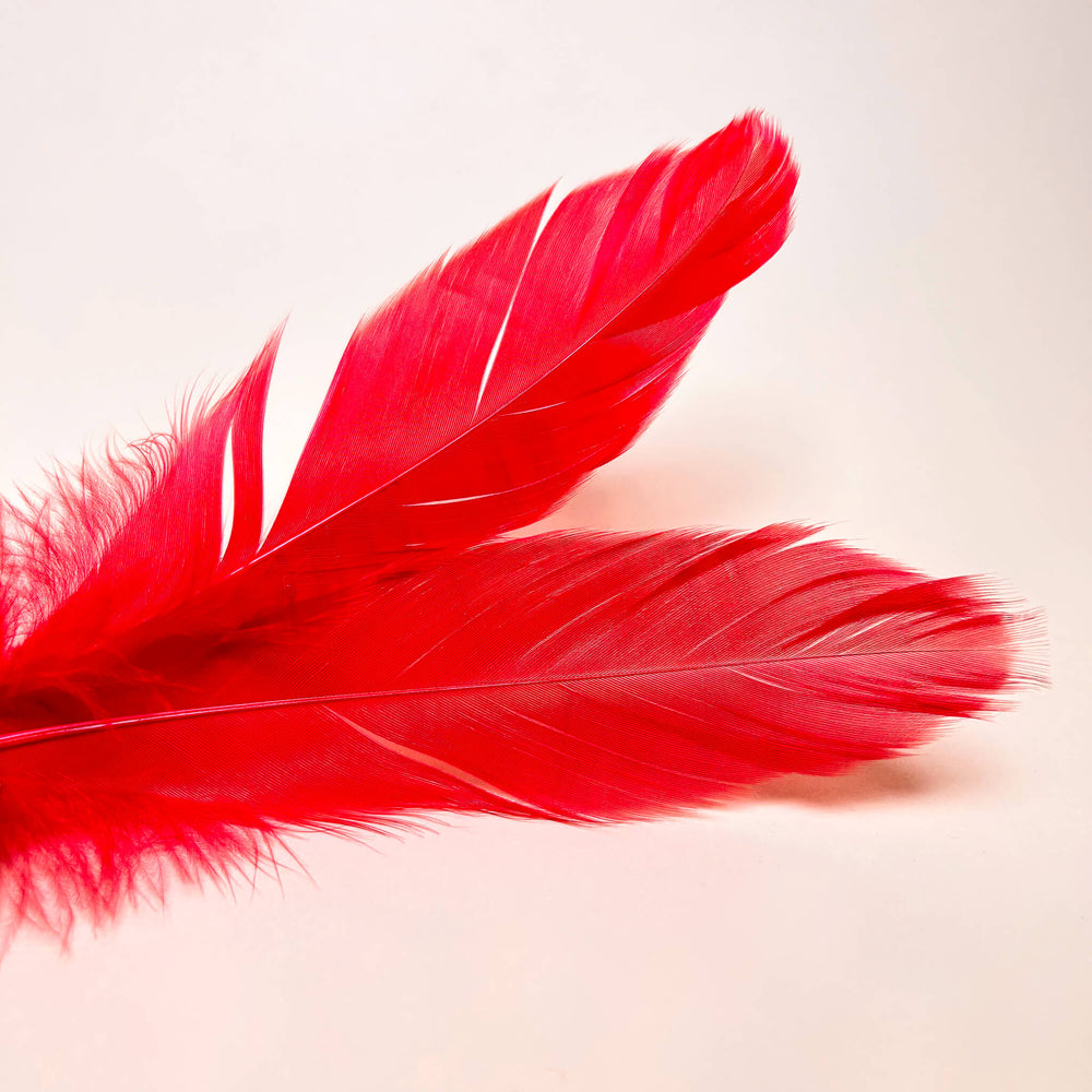Kit Erótico de Iniciación Rojo | Esposas, Antifaz, Plumas y Dado