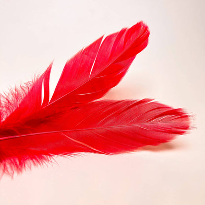 Kit Erótico de Iniciación Rojo | Esposas, Antifaz, Plumas y Dado